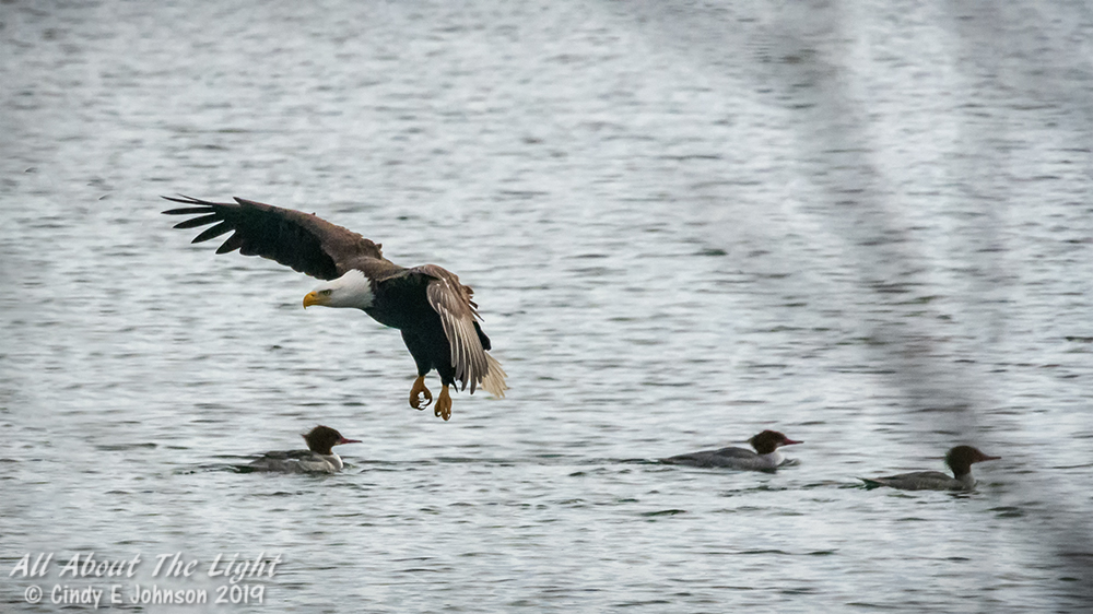305413d1549556434-hark-2019-a-_dsc1631-low-res.jpg