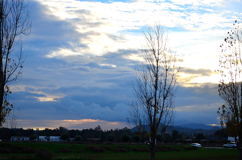 30th & 31st Jan 2015 002.JPG