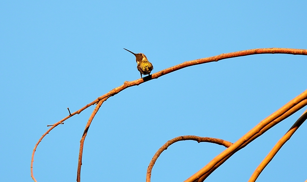 30th  July 2014 020.JPG