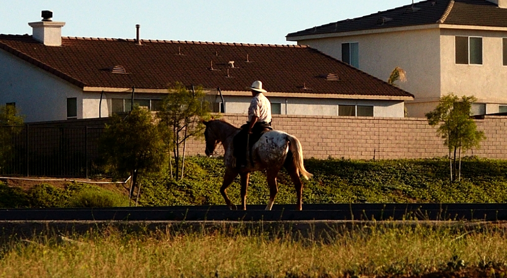 30th May 2014 001.JPG