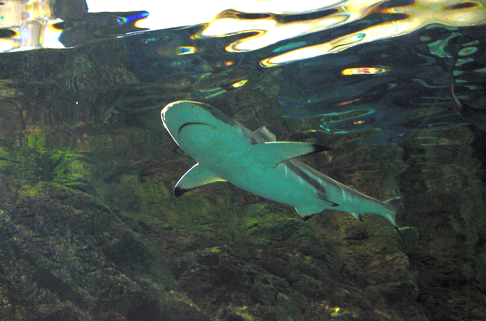 30th May 2015 031.JPG