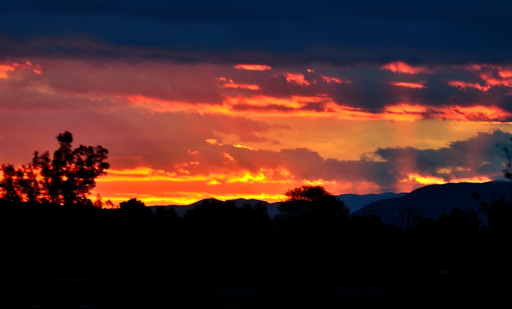 30th Nov 2014 011.JPG