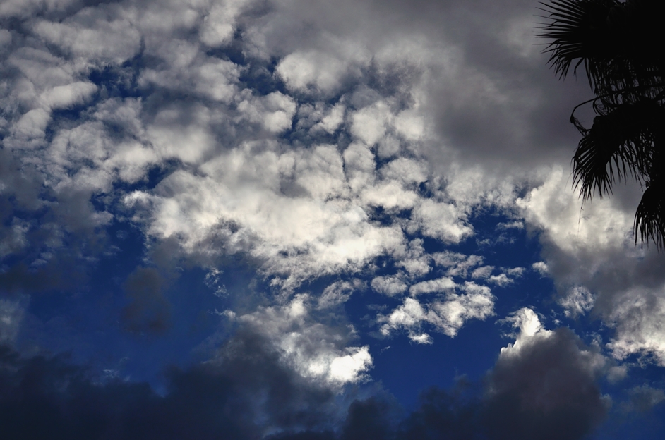 30th Oct 2014 027.JPG