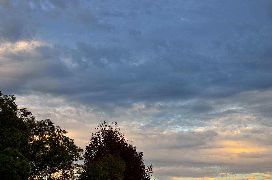 30th Oct 2014 029.JPG