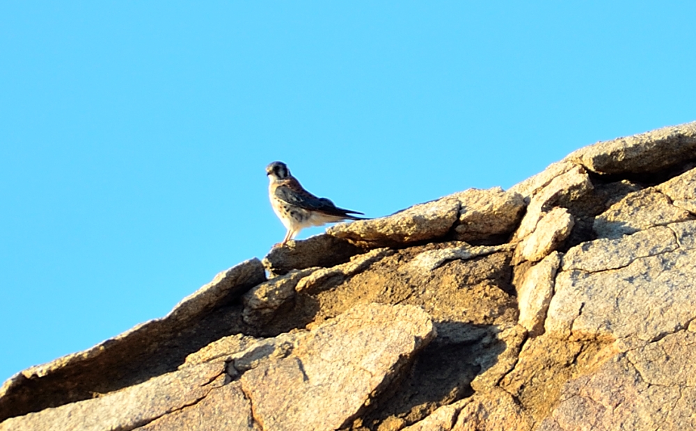 30th Sept 2014 001.JPG