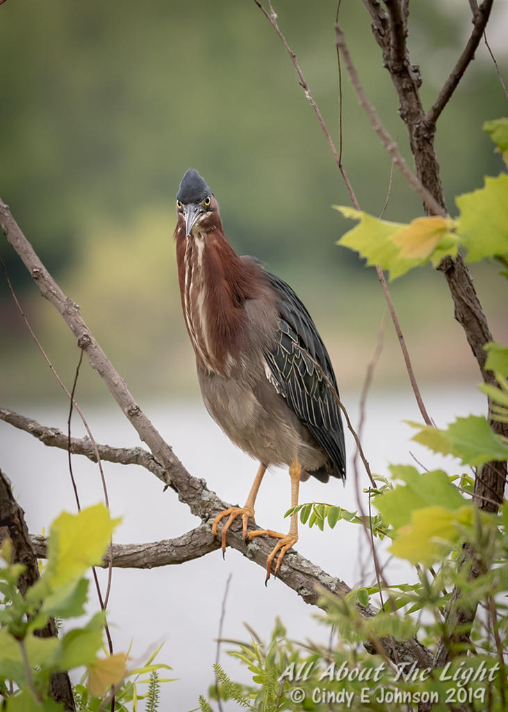 311143d1556969493-hark-2019-a-_dsc0063-low-res.jpg