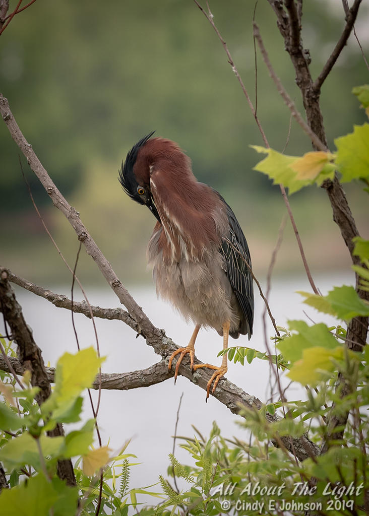 311145d1556969499-hark-2019-a-_dsc0073-low-res.jpg