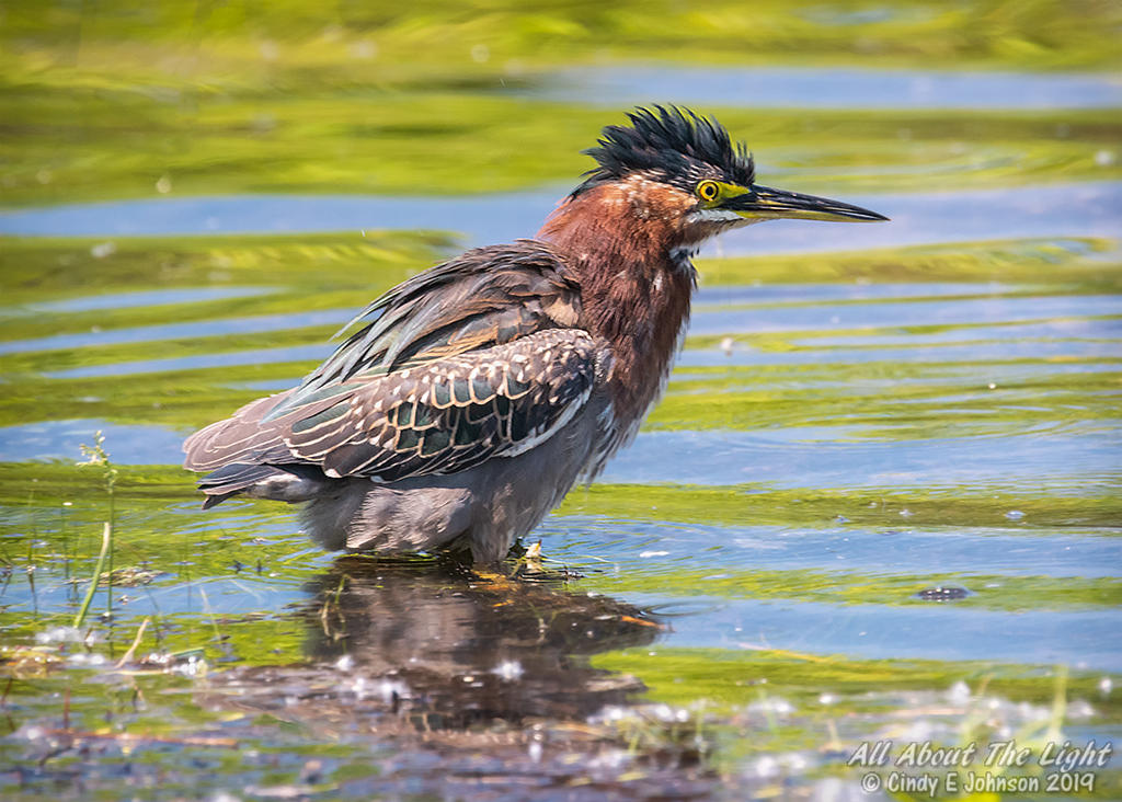 312397d1558317038-hark-2019-a-_dsc2142-low-res.jpg