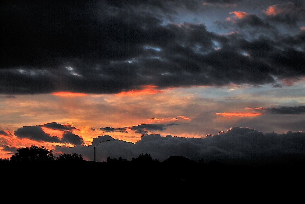 31st Jan 2014 010.JPG