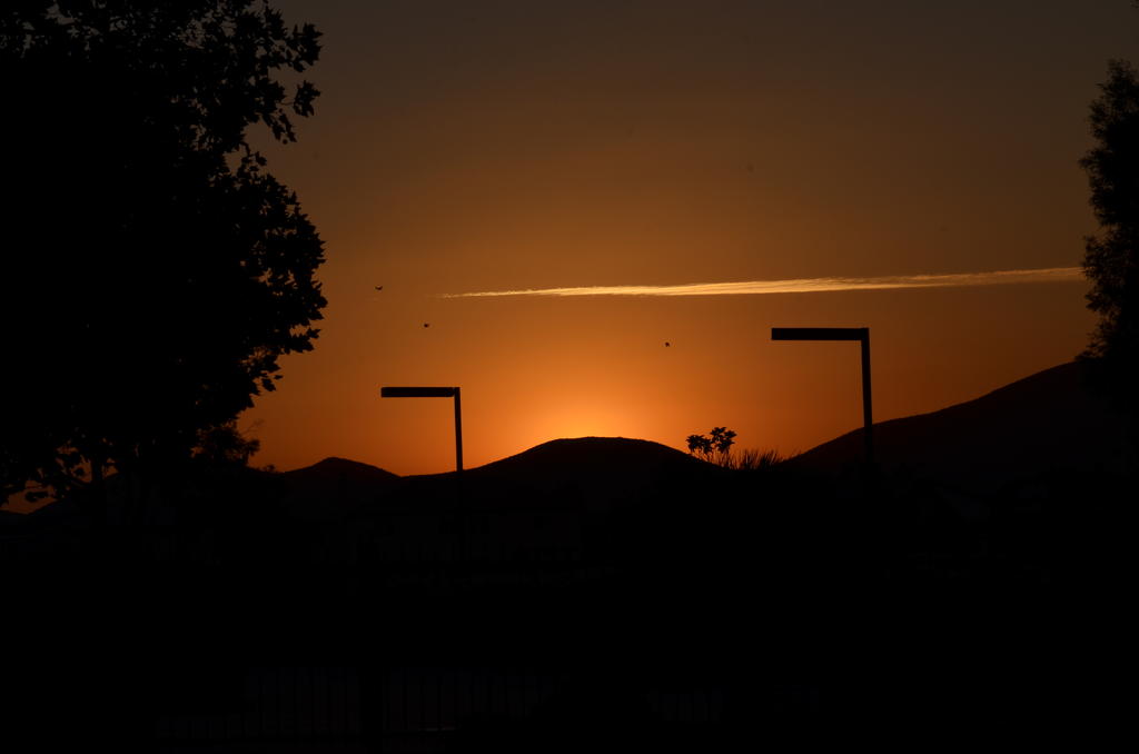 31st July 2013 004.jpg