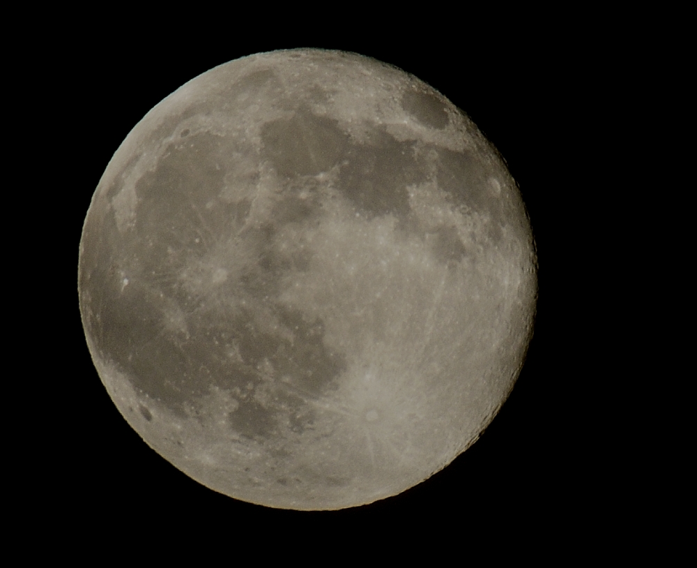 31st July 2015 035.JPG
