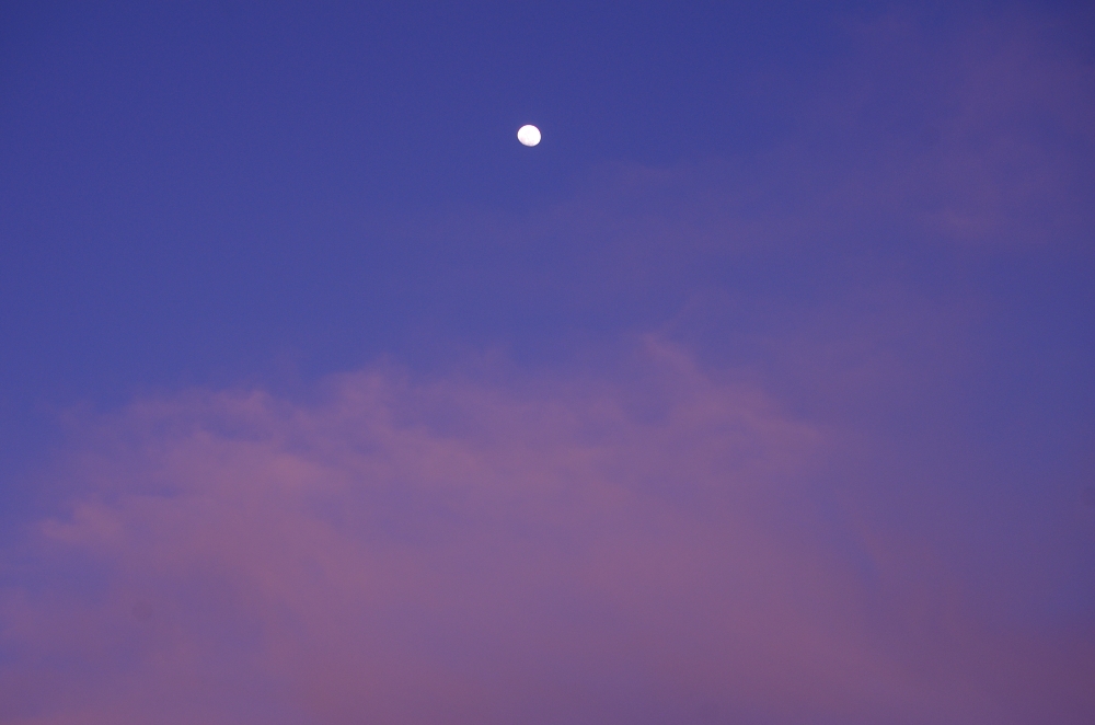 31st Mar 2015 012.JPG