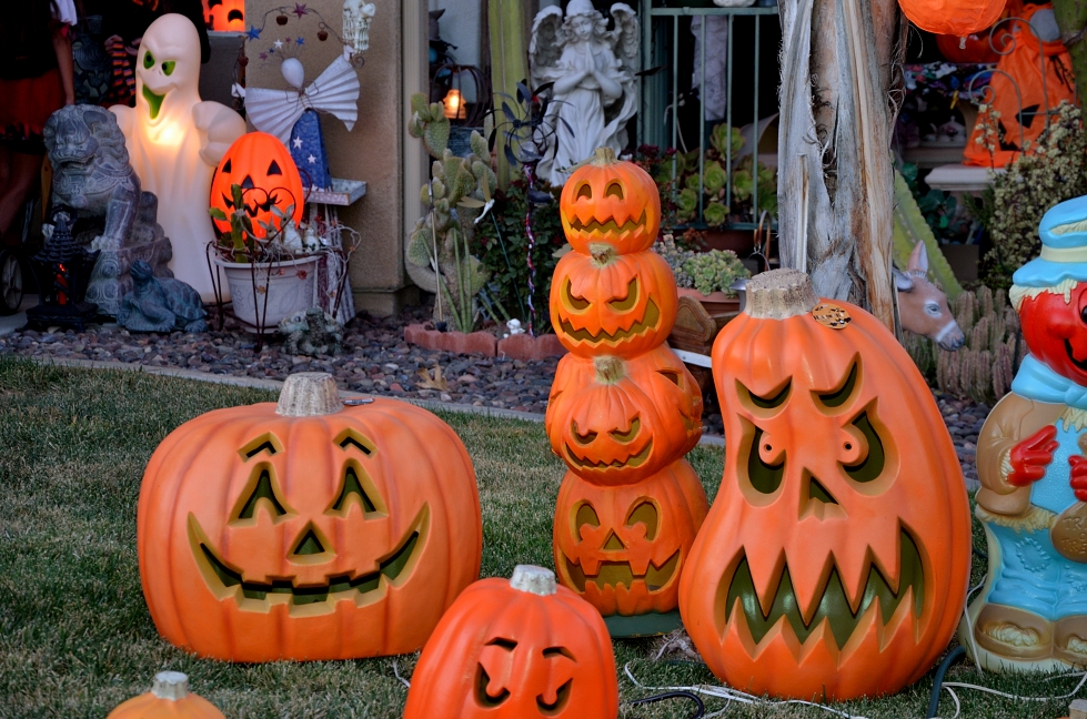 31st Oct 2015 008.JPG