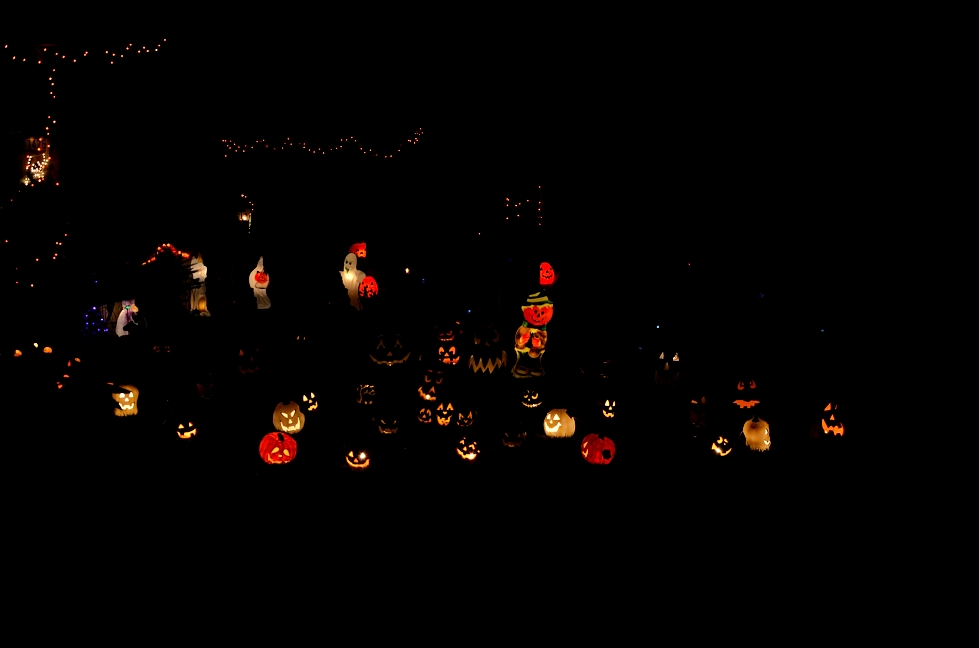 31st Oct 2015 031.JPG