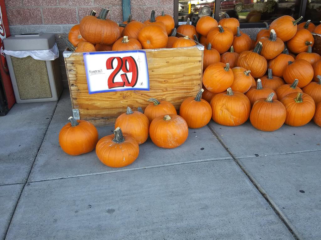322927d1570813485-pumpkin-priice-20191008_151848.jpg