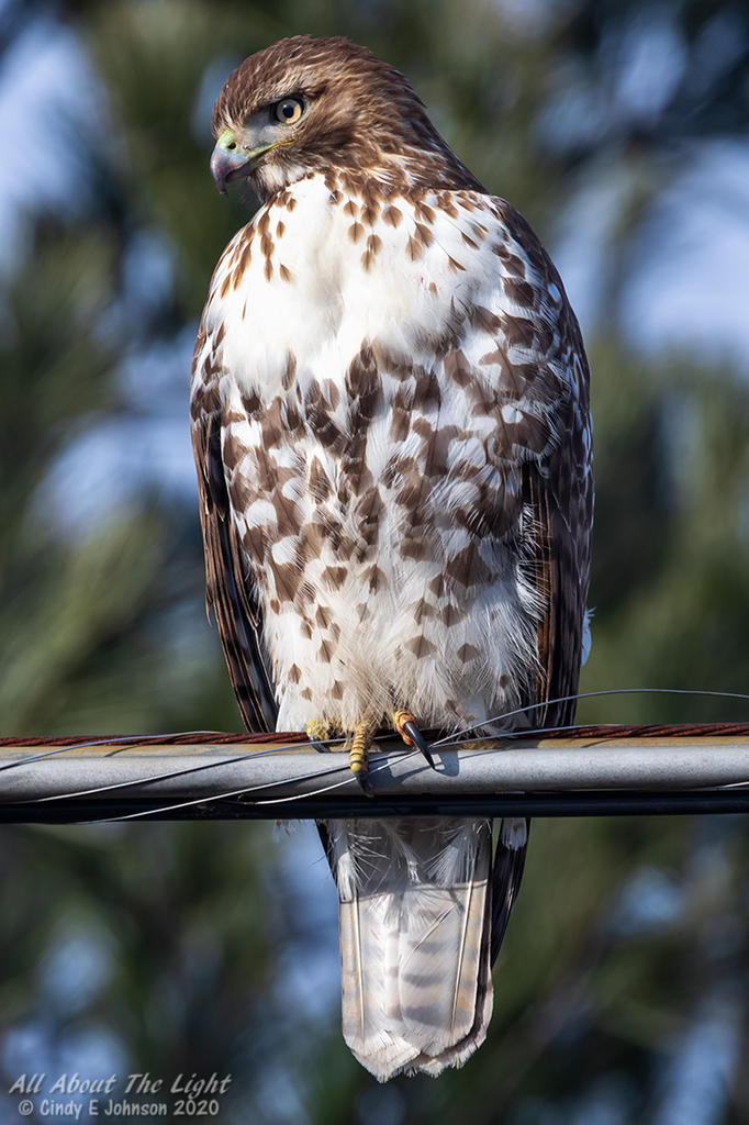 329319d1579660808-hark-2020-a-_dsc3117-low-res.jpg