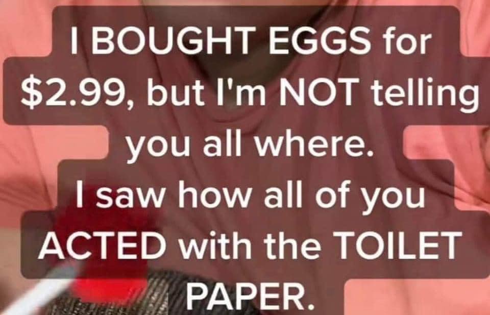 329685033_752905346121210_488183837863781990_n.jpg