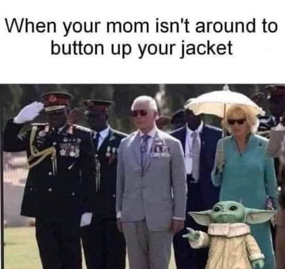 334434556_902225594354513_7987946333695082117_n.jpg