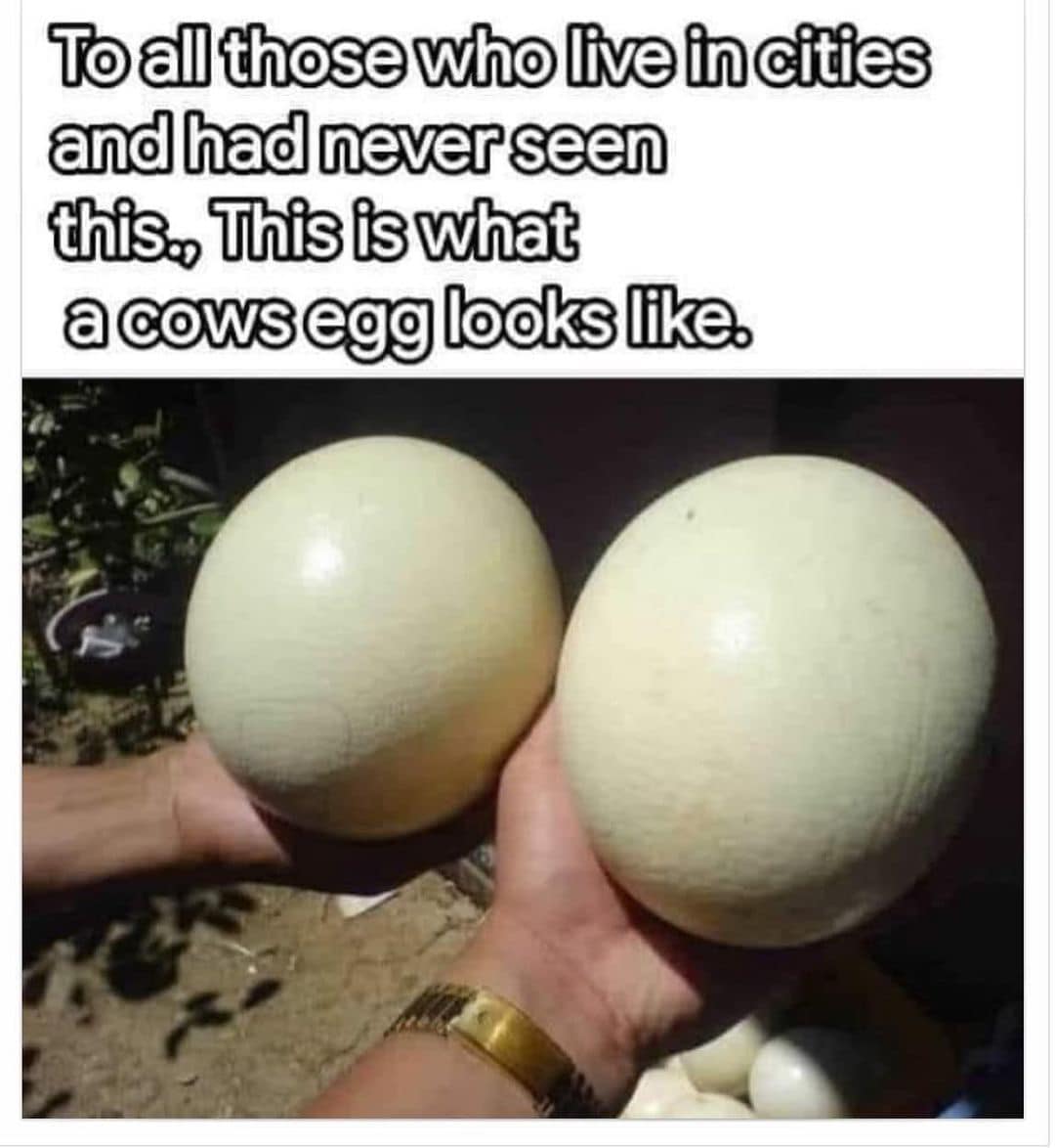 345317606_1379644479493198_4239885013822660261_n.jpg