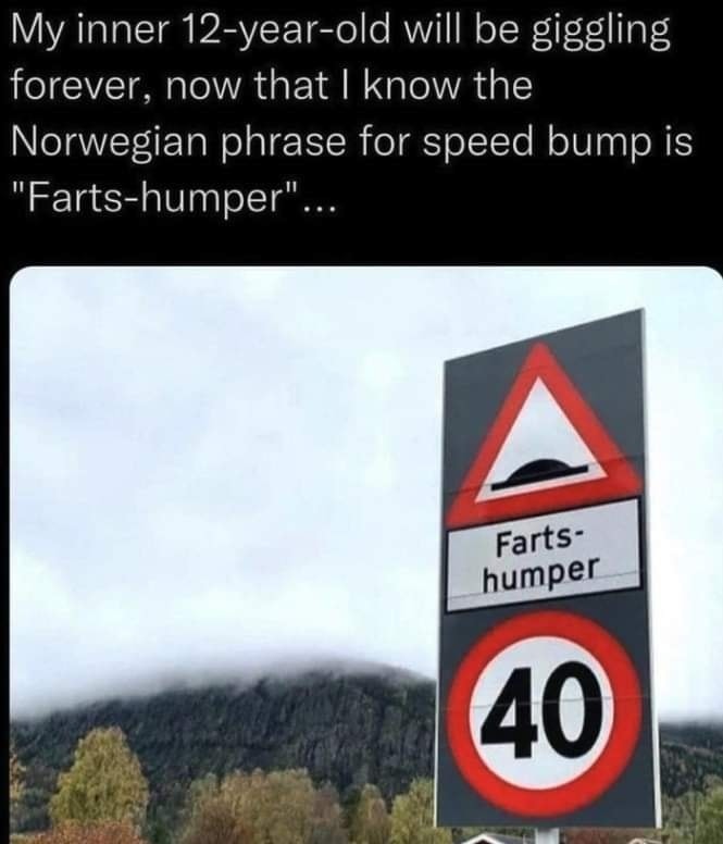 345609786_1124219411868637_5276908807340051182_n.jpg