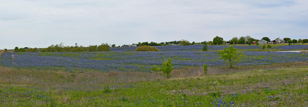 350_0017_21_LSh_sm.jpg