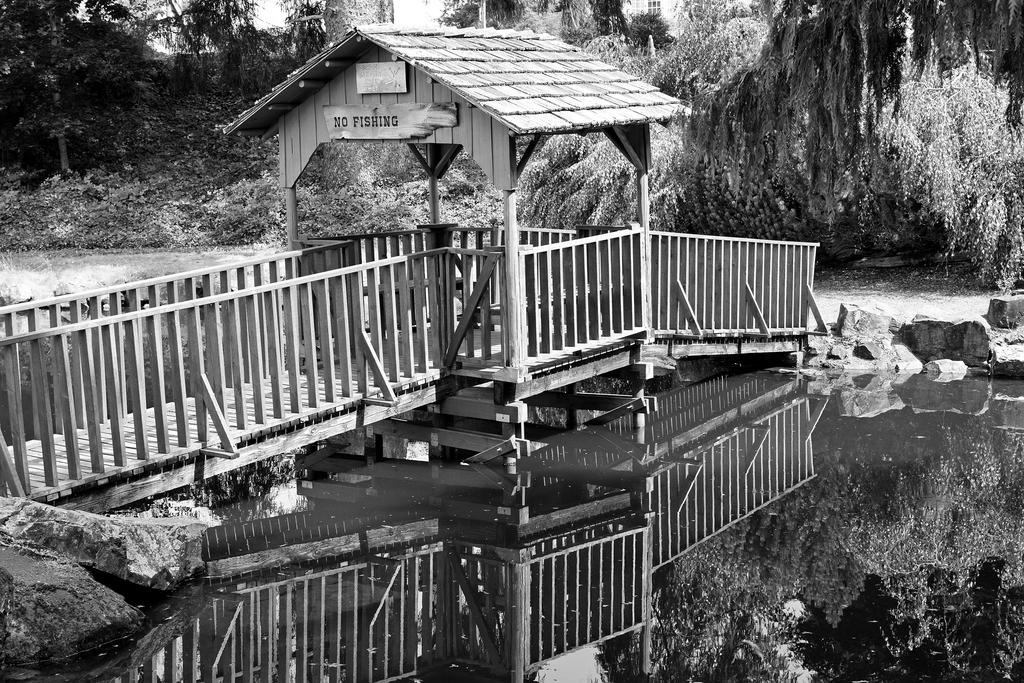 35mm 560_0154_03_GL_sm.jpg