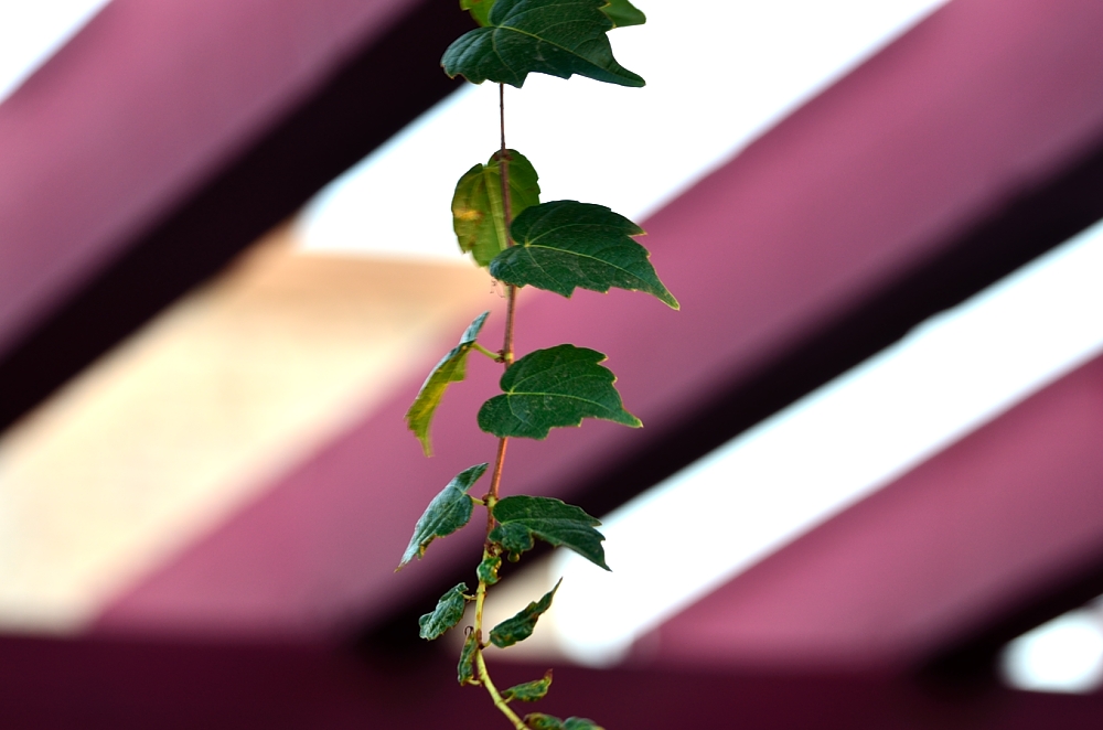 3rd and 4th Sept 2014 011.JPG