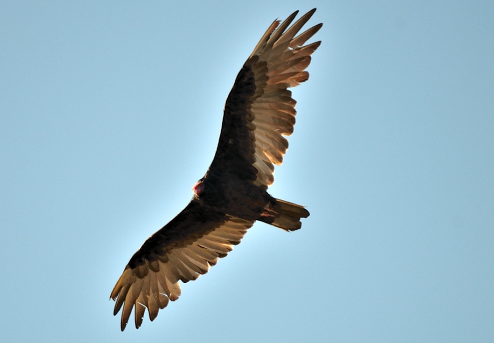 3rd and 4th Sept 2014 019.JPG