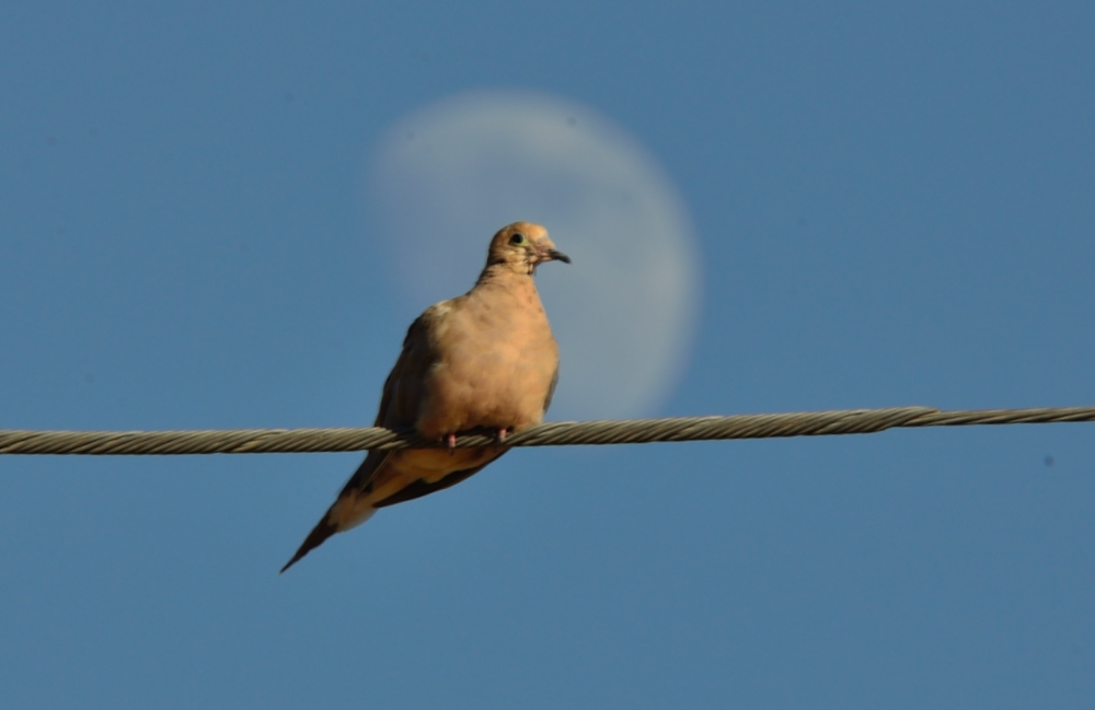 3rd and 4th Sept 2014 025.JPG