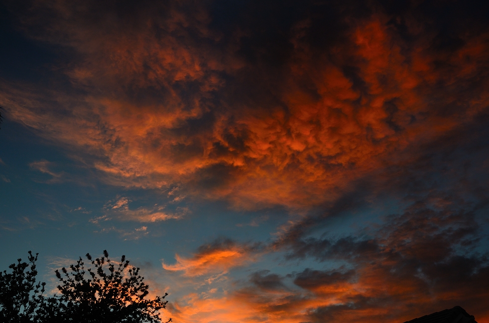 3rd July 2015 044.JPG