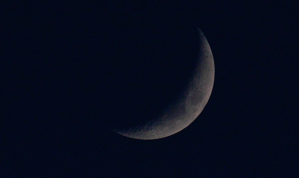 3rd May 2014 028.JPG