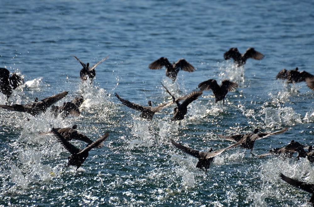 3rd Oct 2015 064.JPG