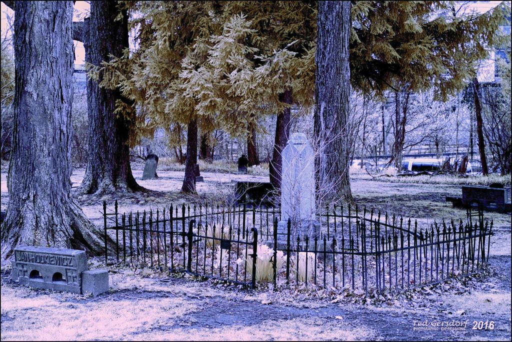 4-1-16 Bagley Cemetery   3.jpg