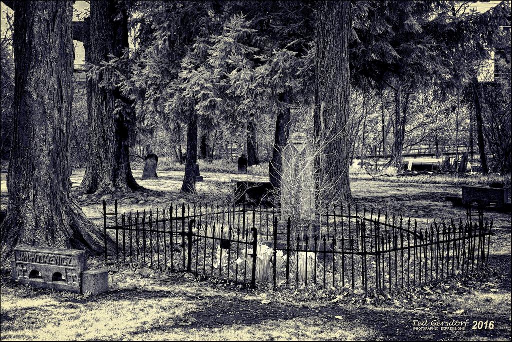 4-1-16 Bagley Cemetery   3BW.jpg
