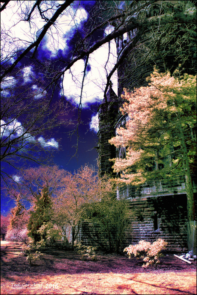 4-12-16 Lakeview IR    1.1sm.jpg
