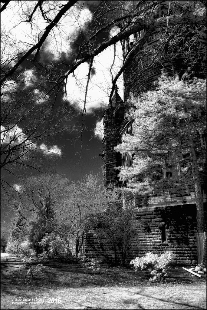 4-12-16 Lakeview IR    1.2sm.jpg