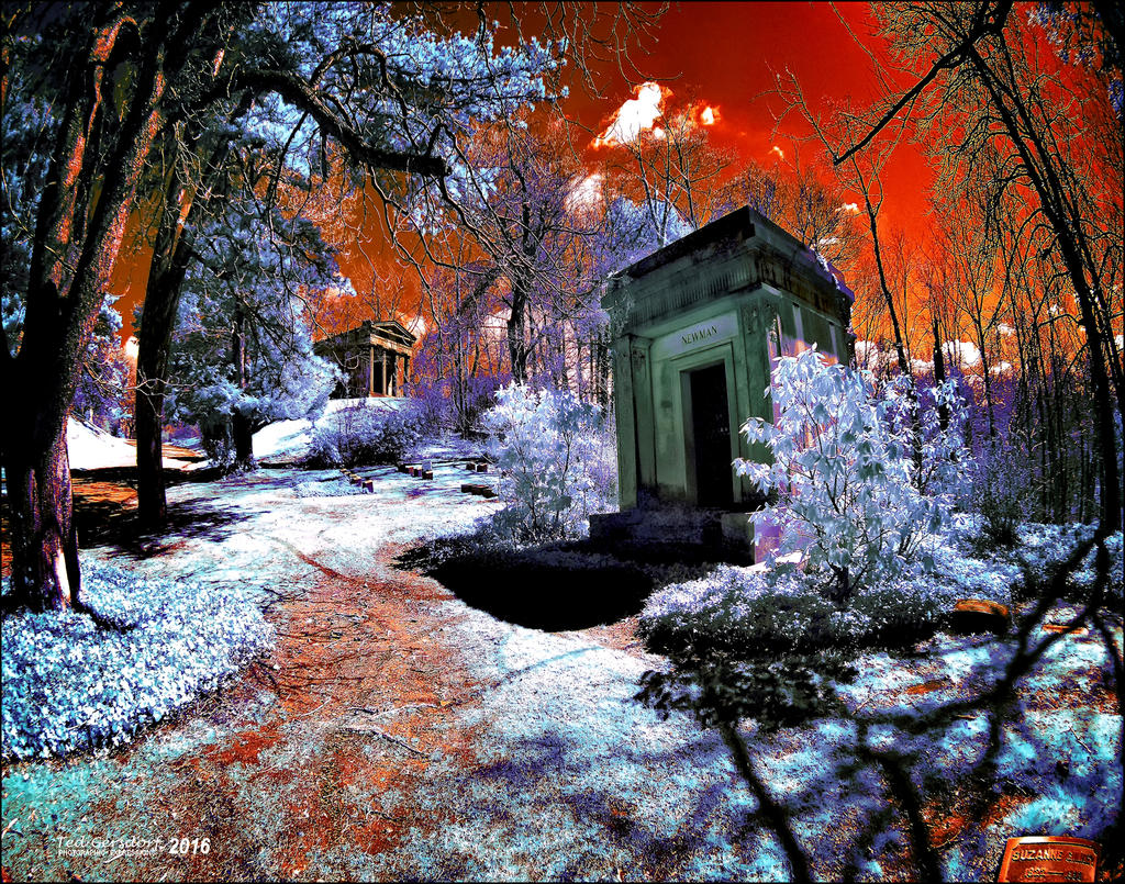 4-12-16 Lakeview IR    14 .1.jpg