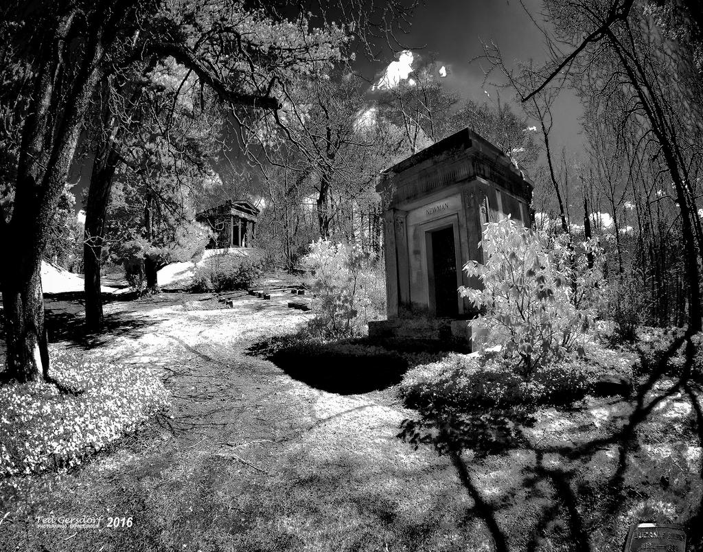 4-12-16 Lakeview IR    14.2.jpg