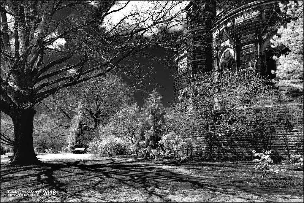 4-12-16 Lakeview IR    2.1.jpg