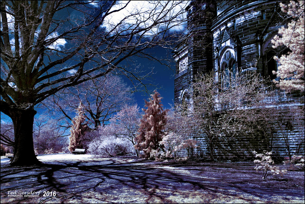4-12-16 Lakeview IR    2sm.jpg