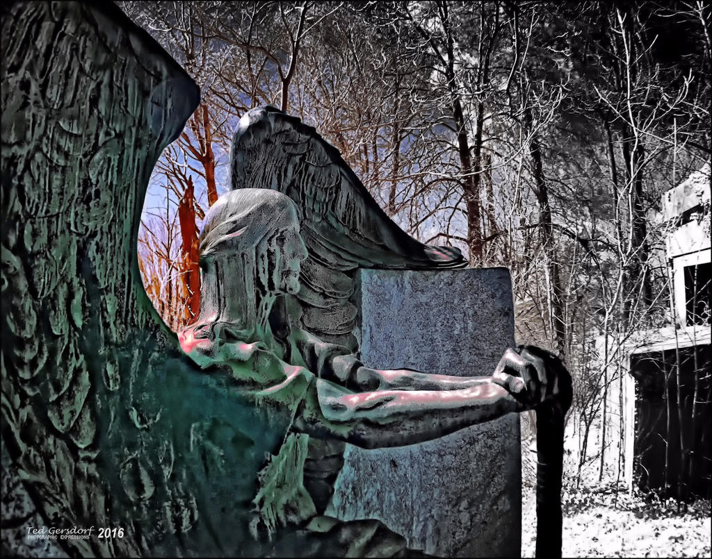 4-12-16 Lakeview IR    3.2sm.jpg