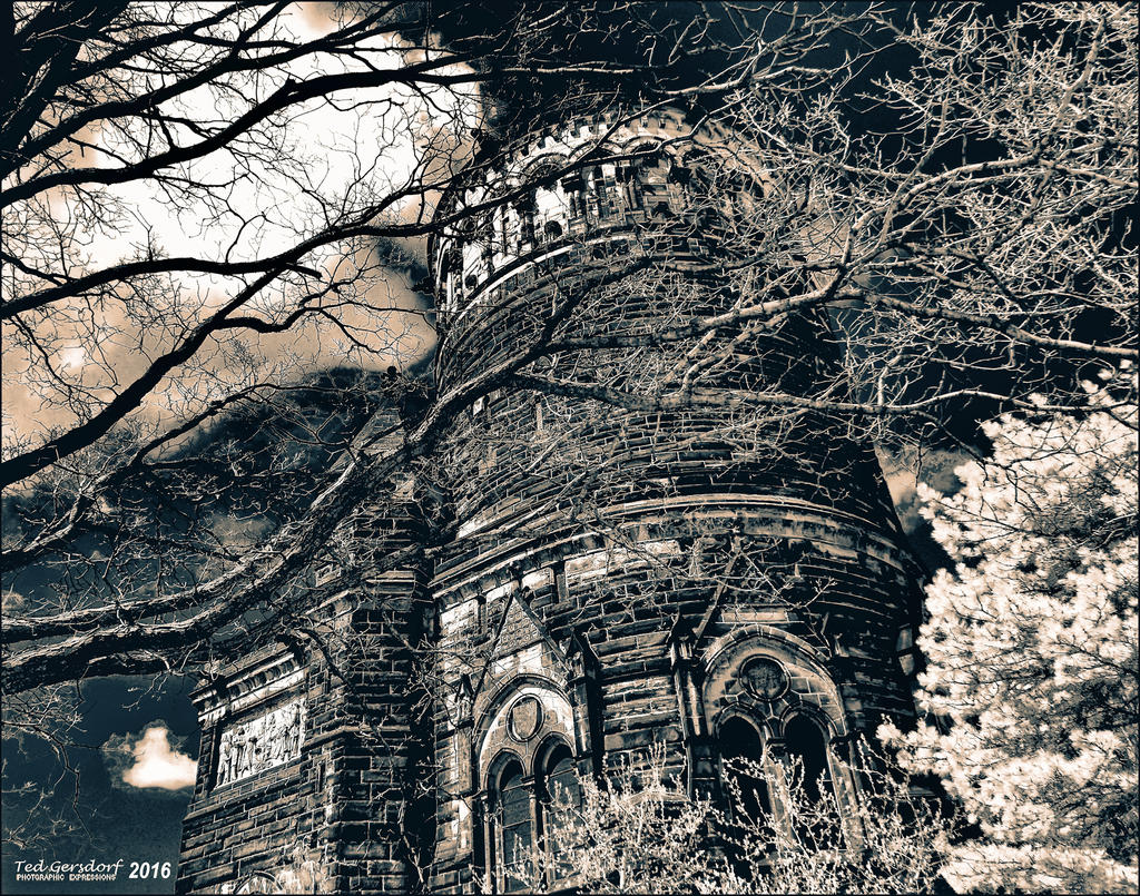 4-12-16 Lakeview IR    5.2sm.jpg