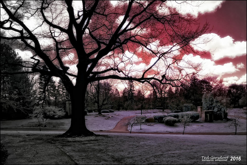 4-12-16 Lakeview IR    7.1sm.jpg