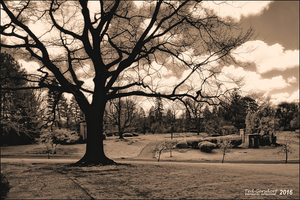 4-12-16 Lakeview IR    7.4sm.jpg