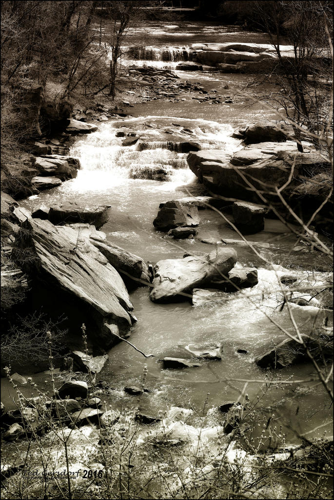 4-18-16 Metro Park  1BW.jpg