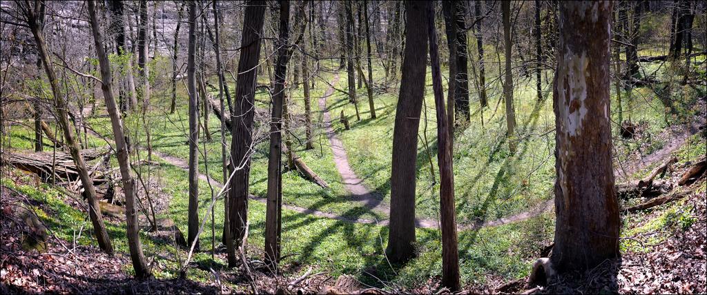 4-18-16 Park Panorama    8.jpg