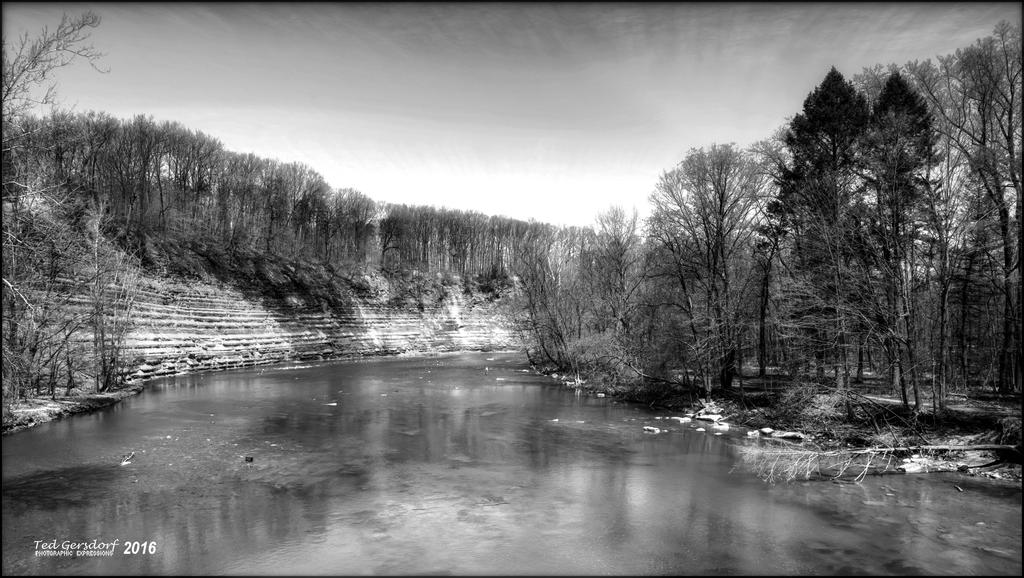 4-27-16 MetroPark HDR    11BW.jpg