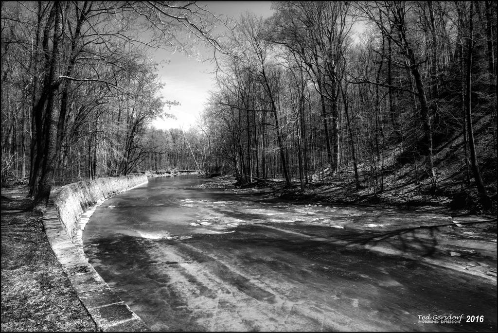4-27-16 MetroPark HDR    1BW.jpg