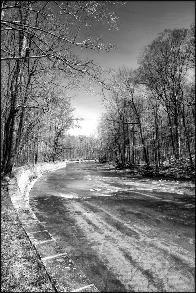 4-27-16 MetroPark HDR    2BW.jpg