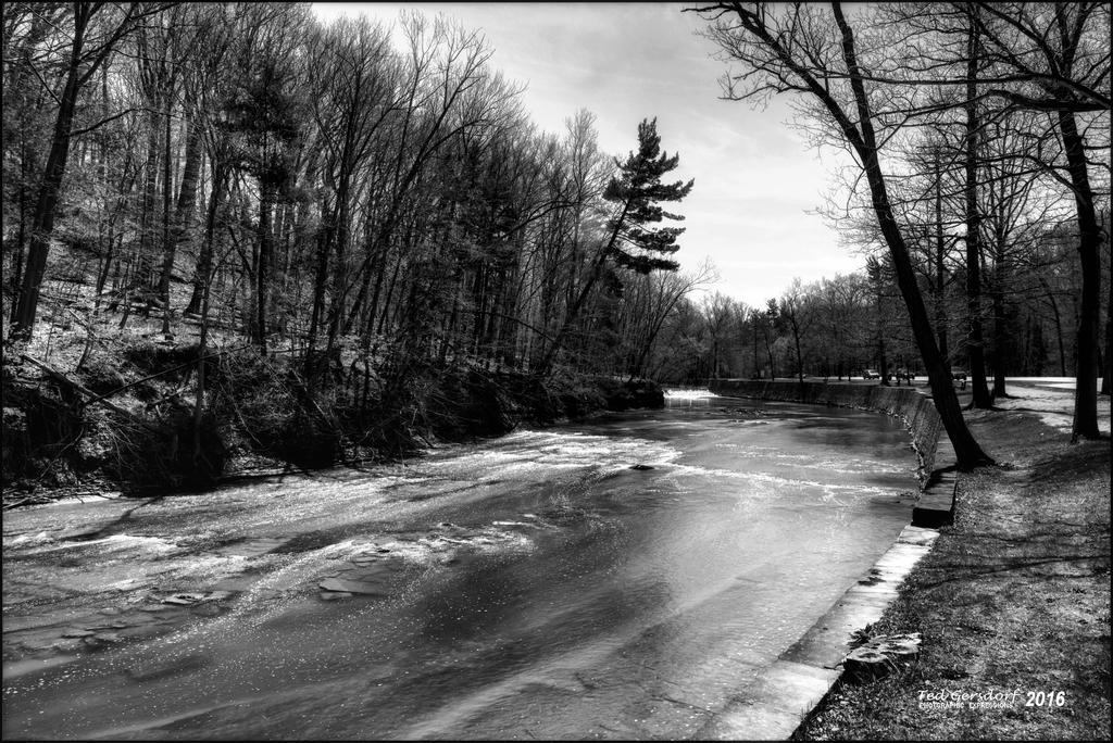 4-27-16 MetroPark HDR    4BW.jpg